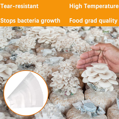 Mycology Fungus Grow Mycelium Cultivation Growing Mushroom Grain Spawn Bags