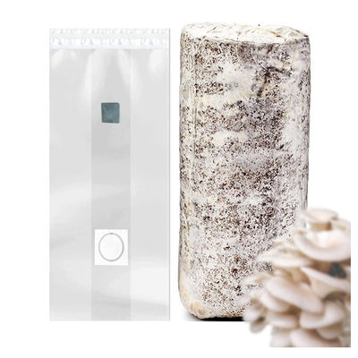 Mushroom grow bags spawn cultivation mushroom bag with injection port